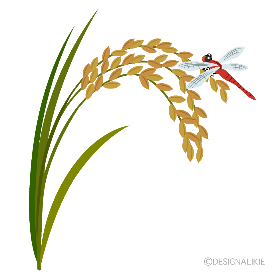 秋のイラスト/トンボのイラスト・無料イラスト/フリー素材 稲穂と赤とんぼの秋イメージイラストのフリー素材｜イラストイメージ