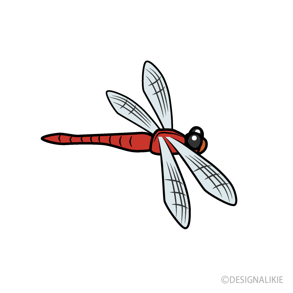 トンボイラスト - No: 1591973／無料イラストなら「イラストAc」 トンボイラストのフリー素材｜イラストイメージ