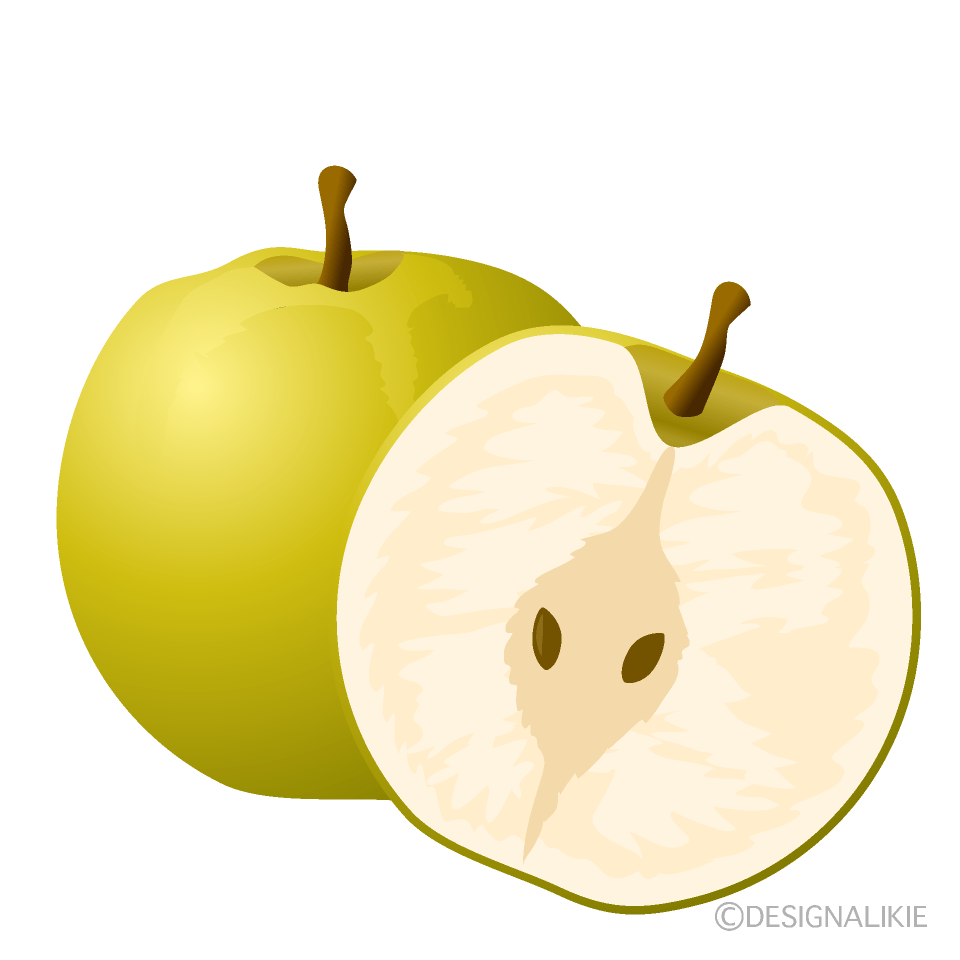 日本ナシイラスト／無料イラストなら「イラストAc」 フレッシュな梨イラストのフリー素材｜イラストイメージ