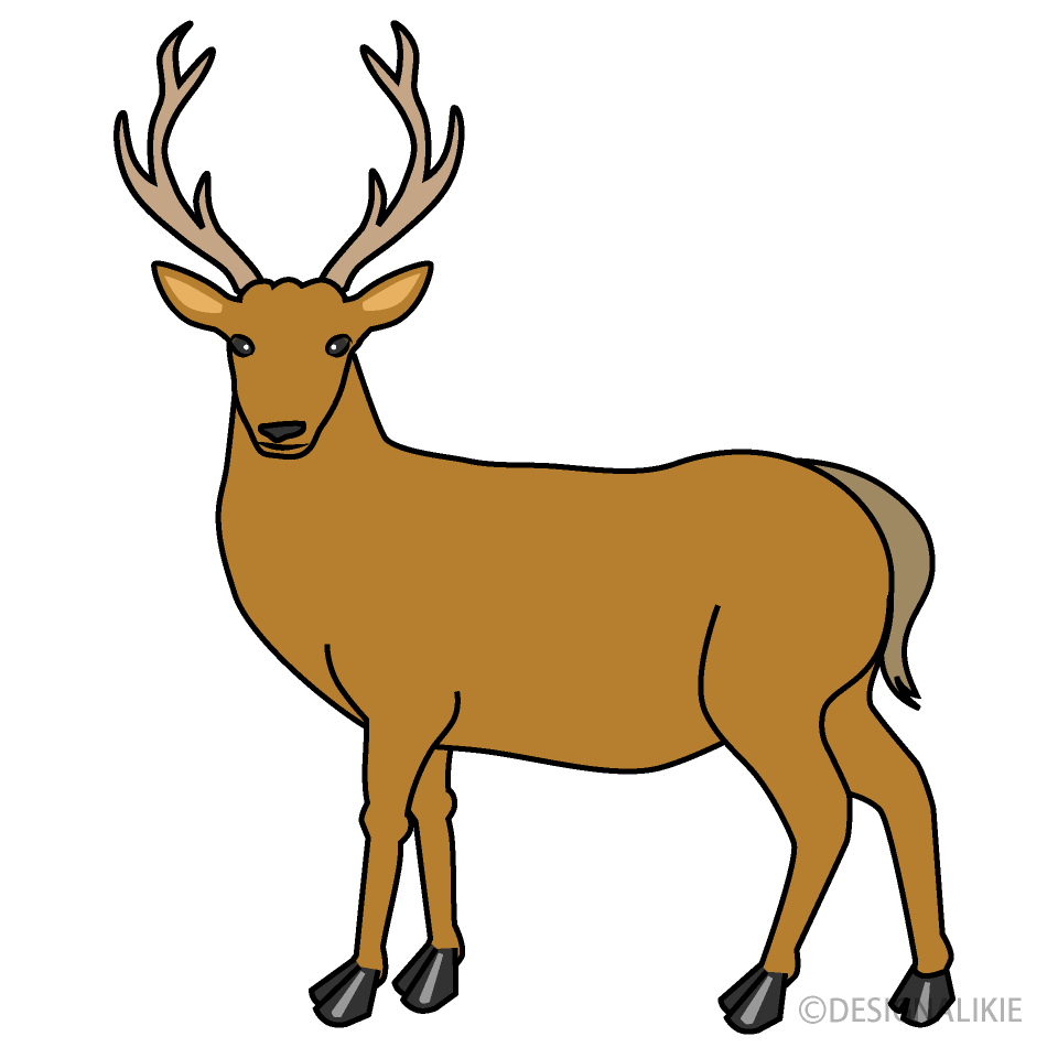 しかイラスト／無料イラストなら「イラストAc」 振り返る鹿イラストのフリー素材｜イラストイメージ