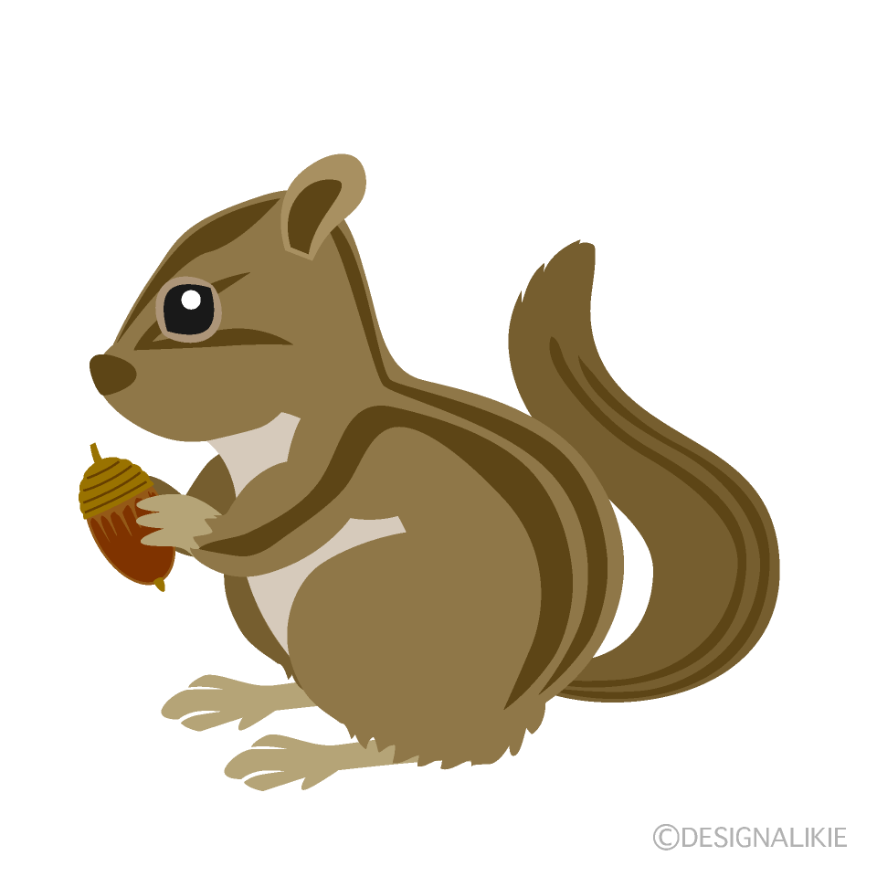 シマリスイラスト／無料イラストなら「イラストAc」 シマリスイラストのフリー素材｜イラストイメージ