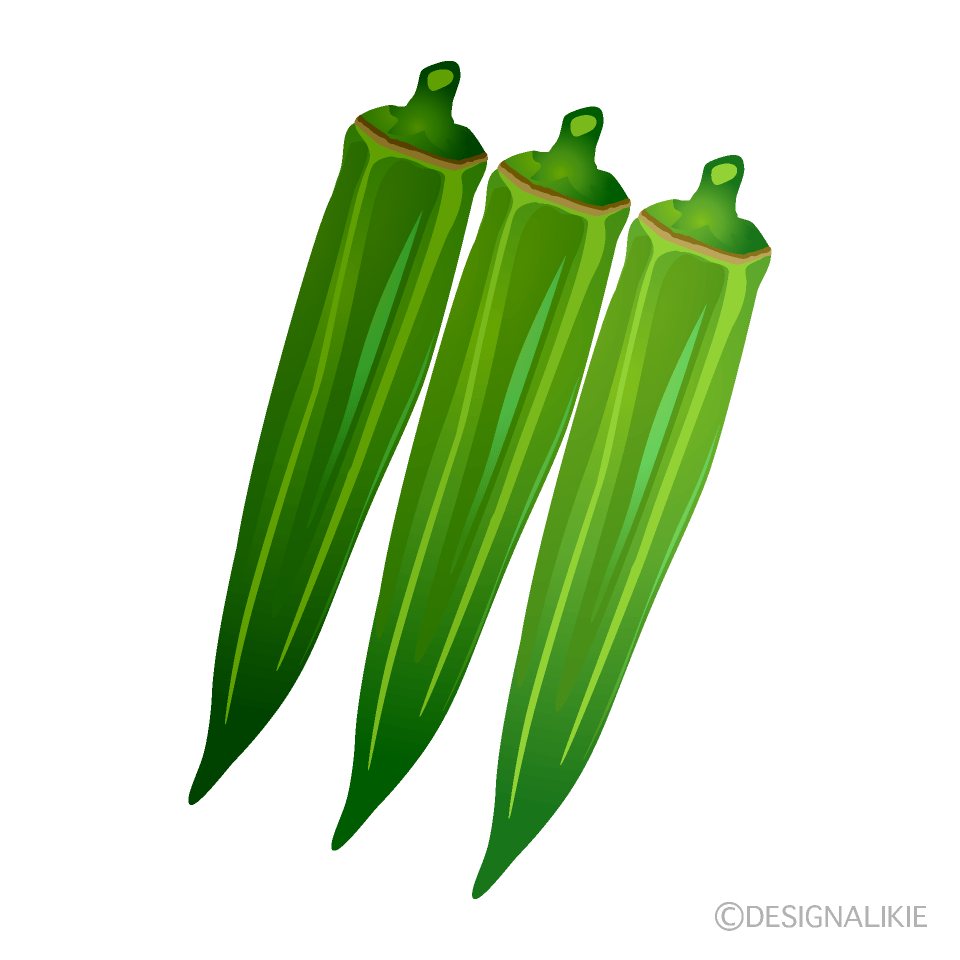 おくらのイラスト素材 [21698756] - Pixta オクライラストのフリー素材｜イラストイメージ