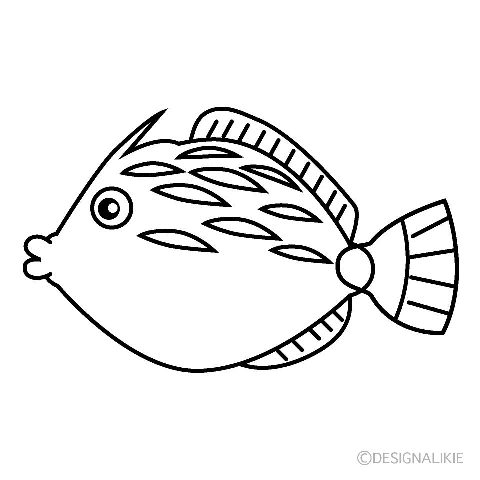 カワハギ（線画）イラストのフリー素材｜イラストイメージ