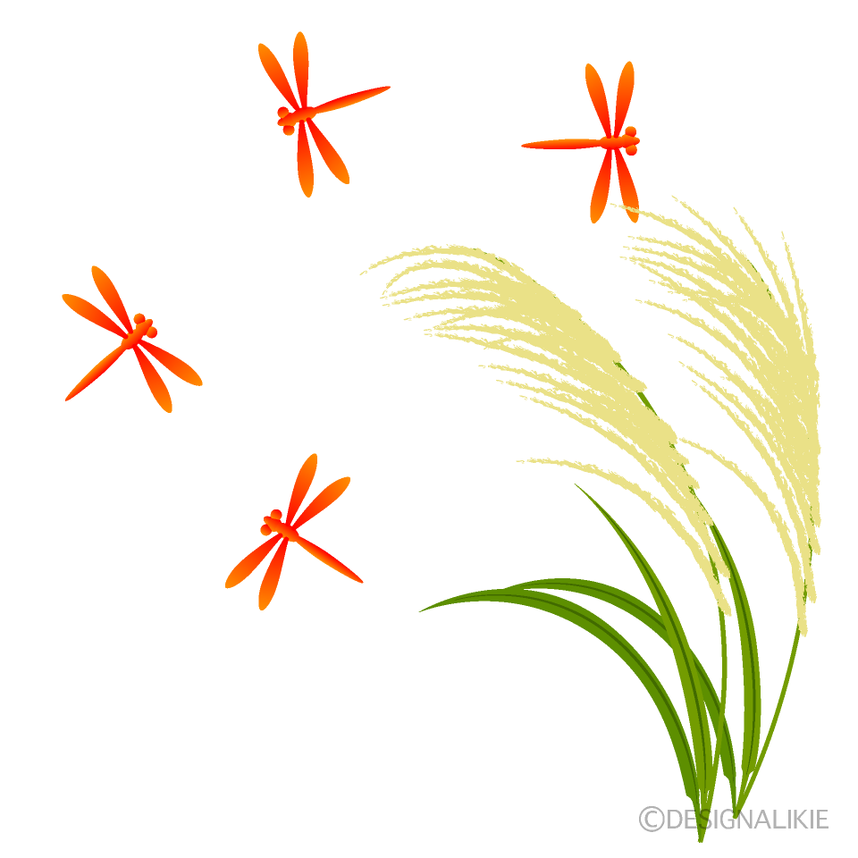 秋のイラスト/トンボのイラスト・無料イラスト/フリー素材 ススキと赤トンボイラストのフリー素材｜イラストイメージ