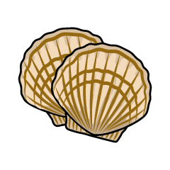 貝殻イラスト素材まとめイラスト - No: 797708／無料イラストなら「イラストAc」 まとめ】貝殻の無料イラスト素材集｜イラストイメージ