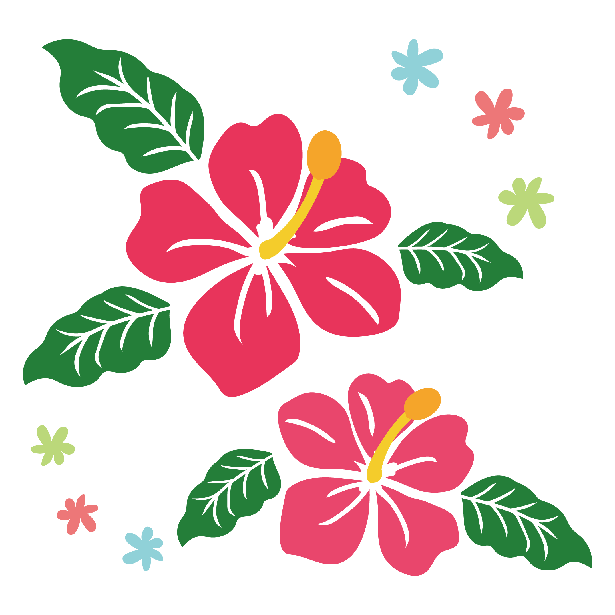ハイビスカス イラスト素材 - Istock かわいい！ハイビスカス 無料 イラスト！気分は常夏トロピカル！ | 商用フリー(無料)のイラスト素材なら「イラストマンション」