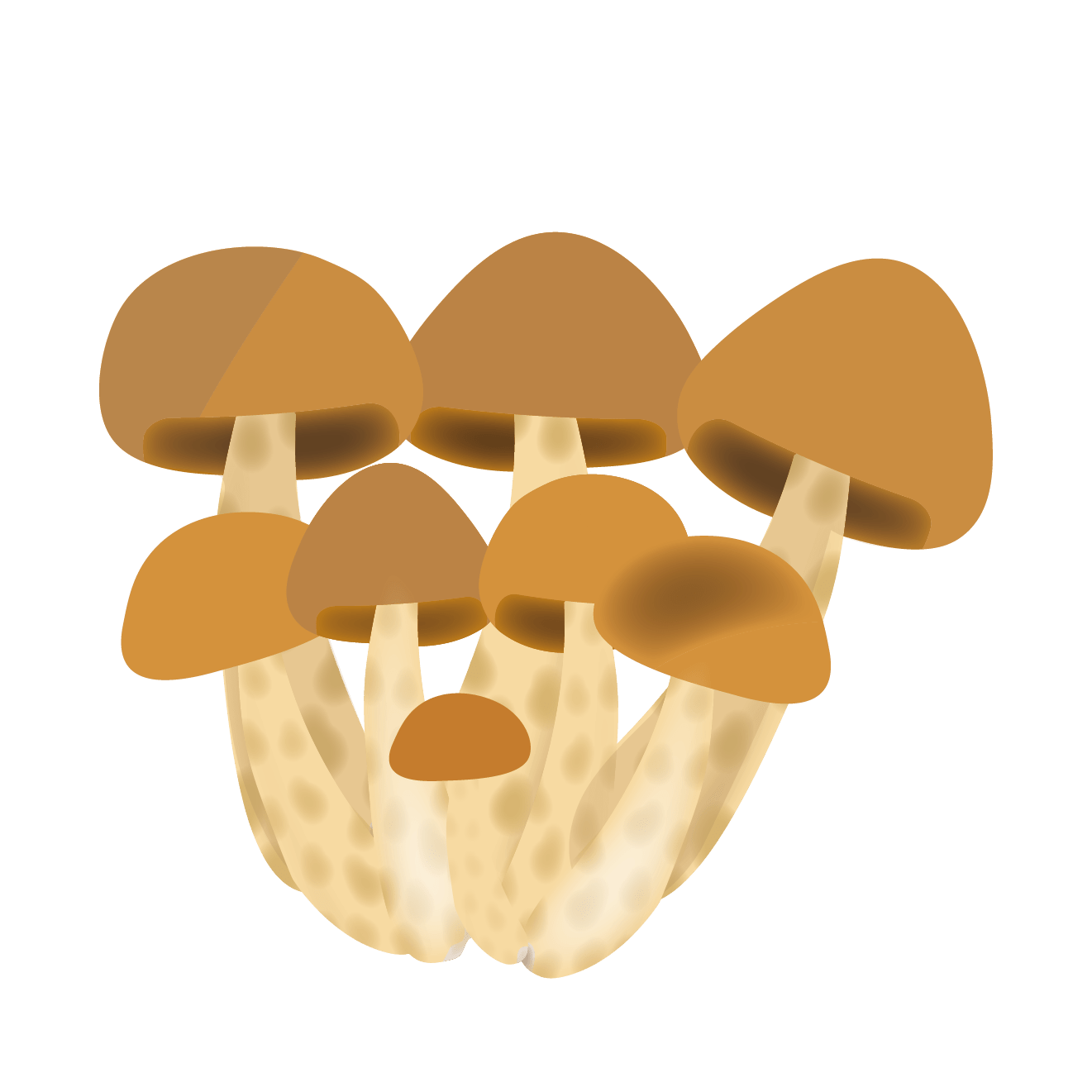 きのこ イラスト フリー かわいい PNG Image Transparent PNG Free Download on SeekPNG きのこ 可愛い イラスト 無料の印刷可能なイラスト画像