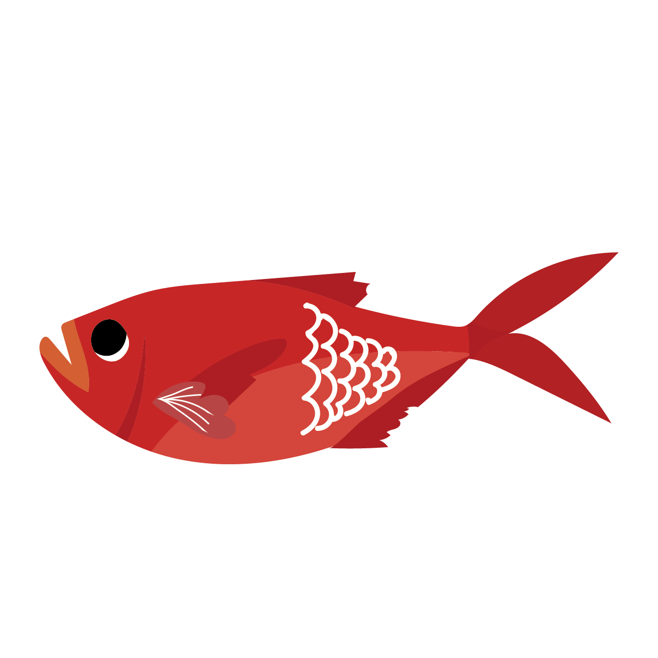 【トップレート】 魚 イラスト リアル フリー 無料の印刷可能なイラスト画像