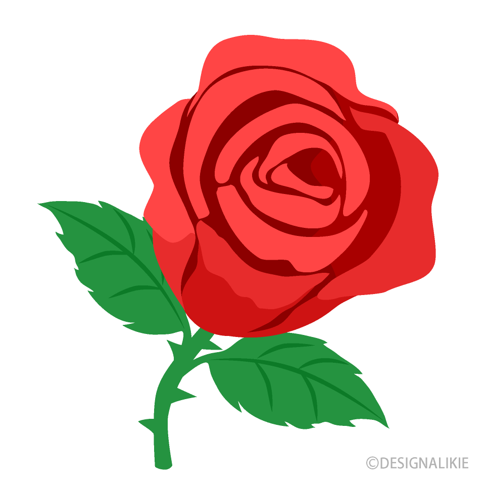 Red Rose Clipart No Background