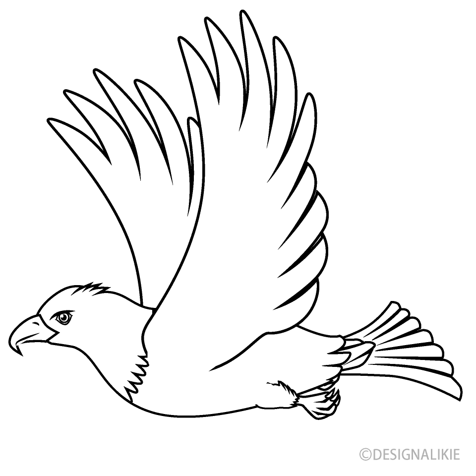 Flying Eagle Black and White Free PNG Image｜Illustoon