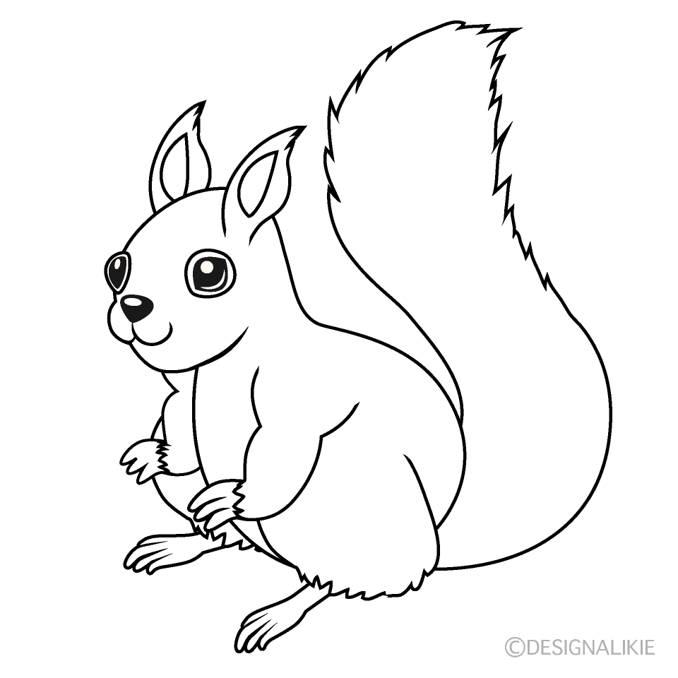 Squirrel Black and White Free PNG Image｜Illustoon