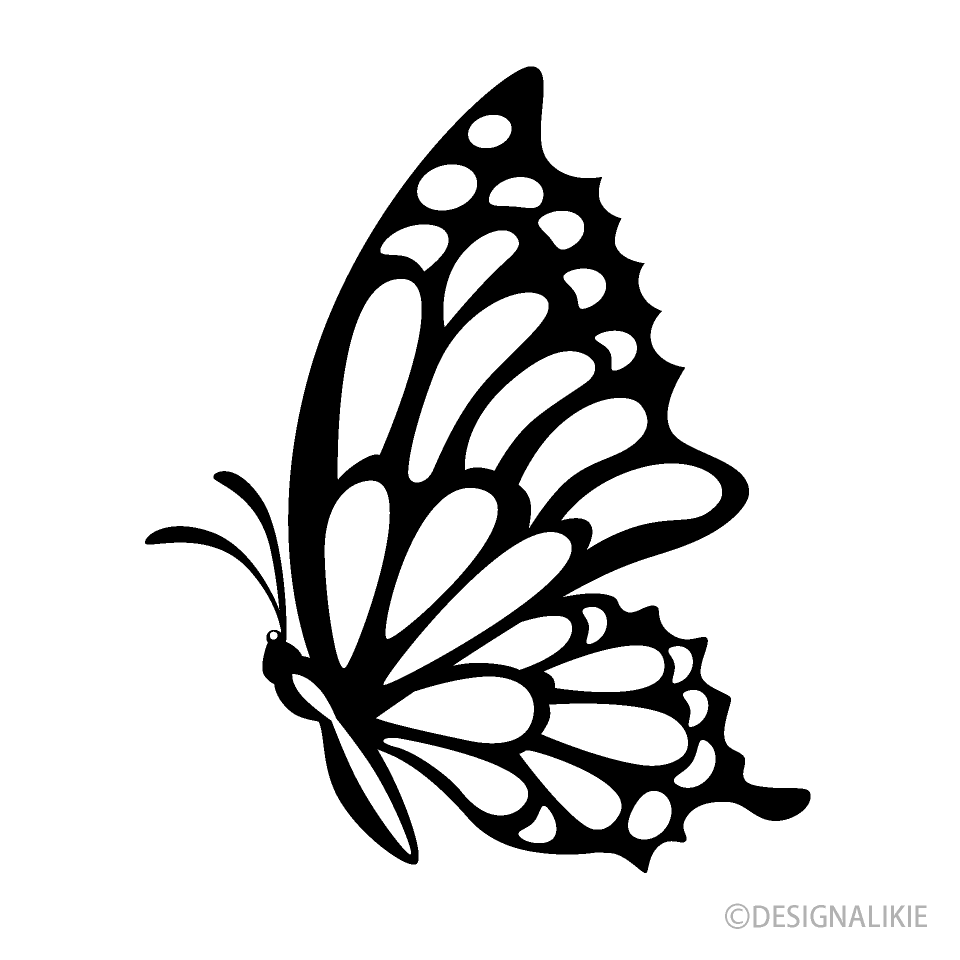 Black And White Butterfly Artwork