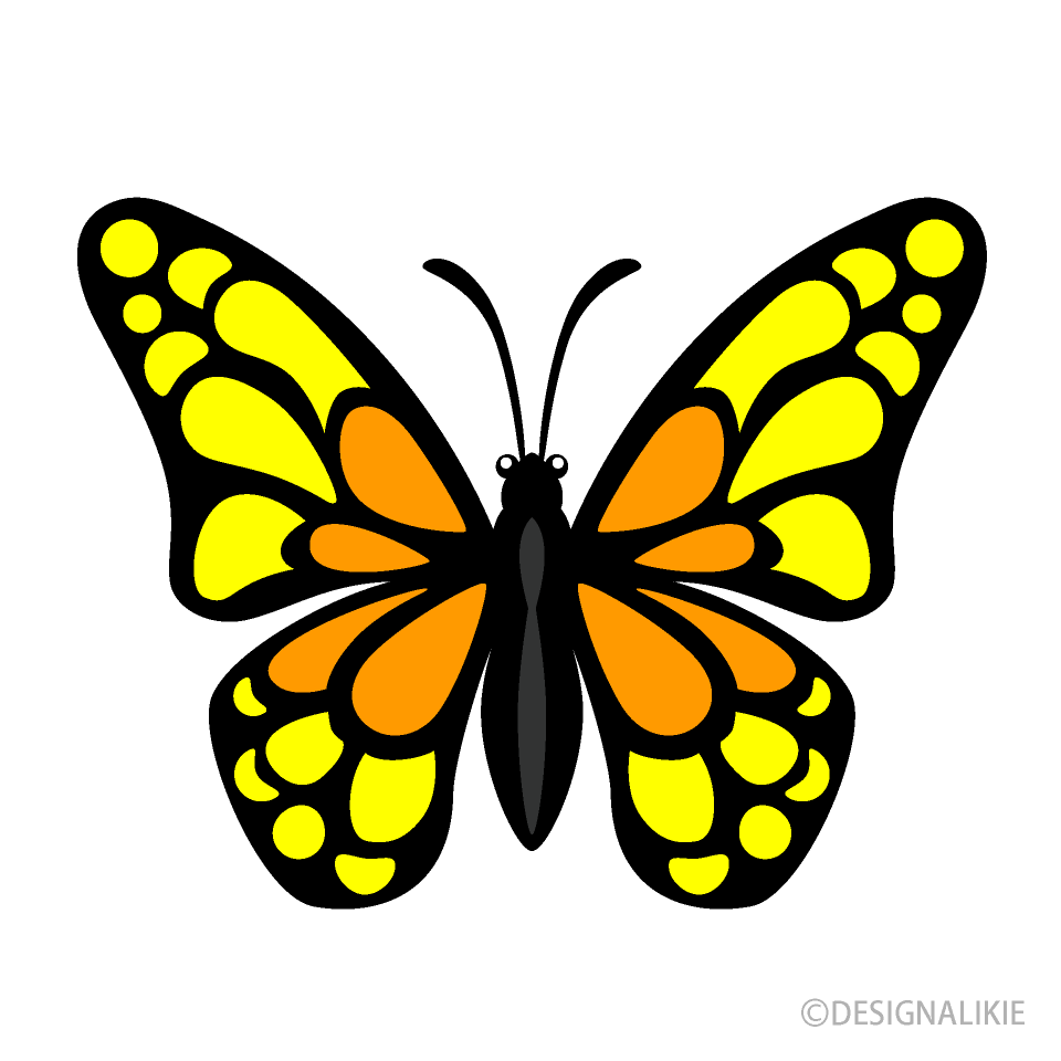 Yellow Butterfly Pictures