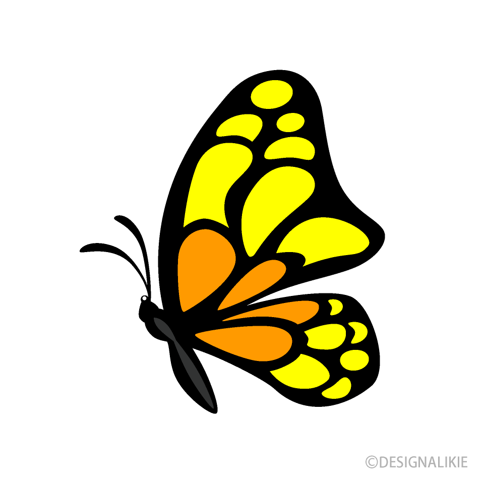Orange Butterfly Cartoon