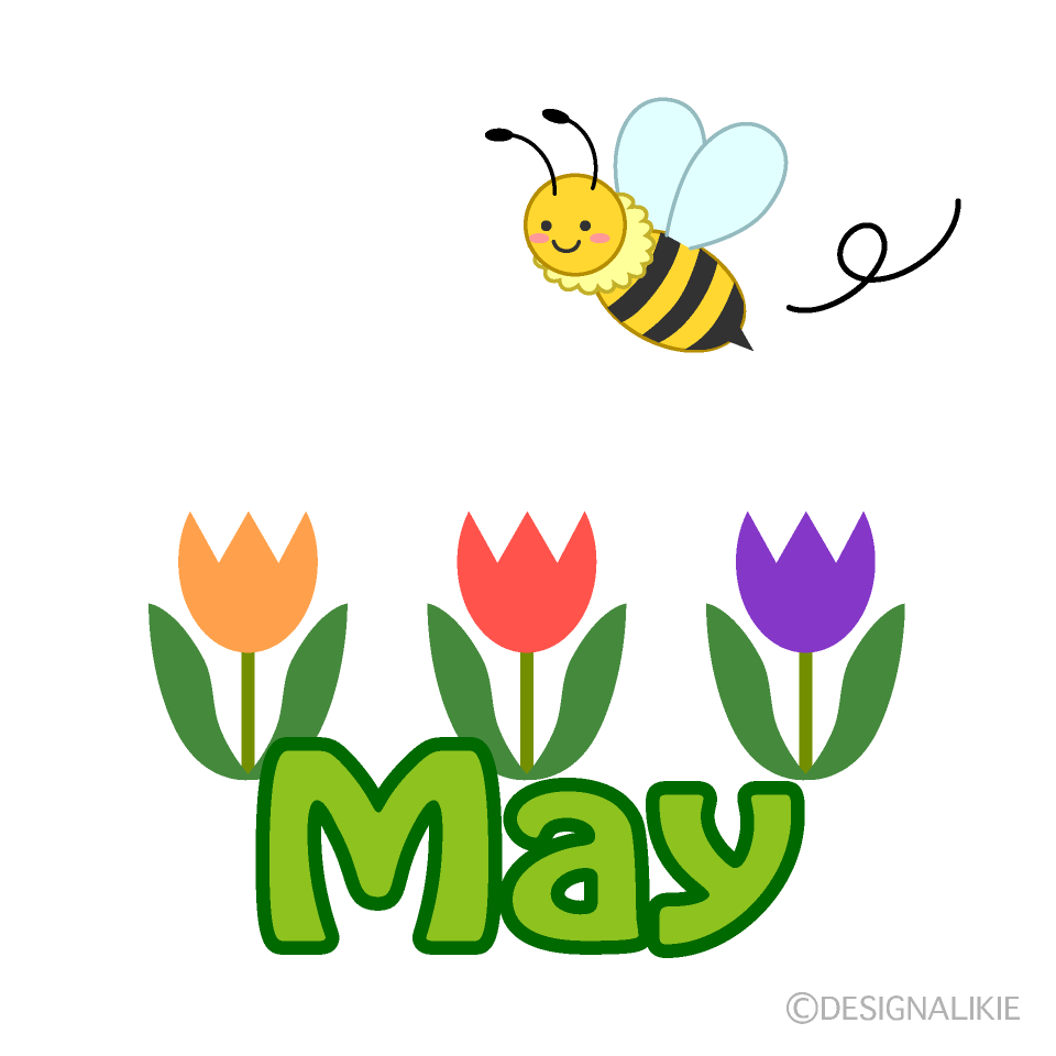 Bee May Clip Art Free PNG Image｜Illustoon