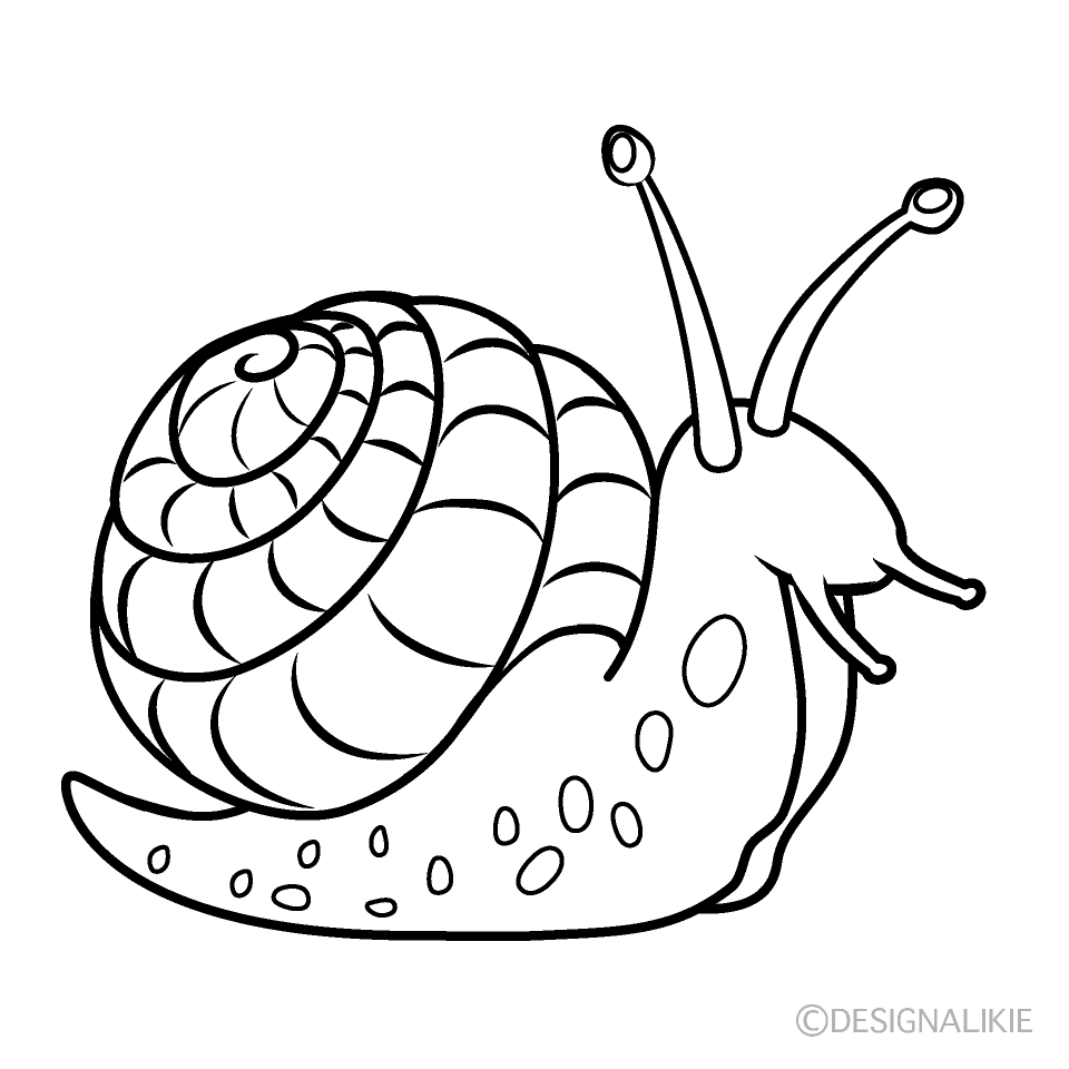 Snail Black and White Free PNG Image｜Illustoon