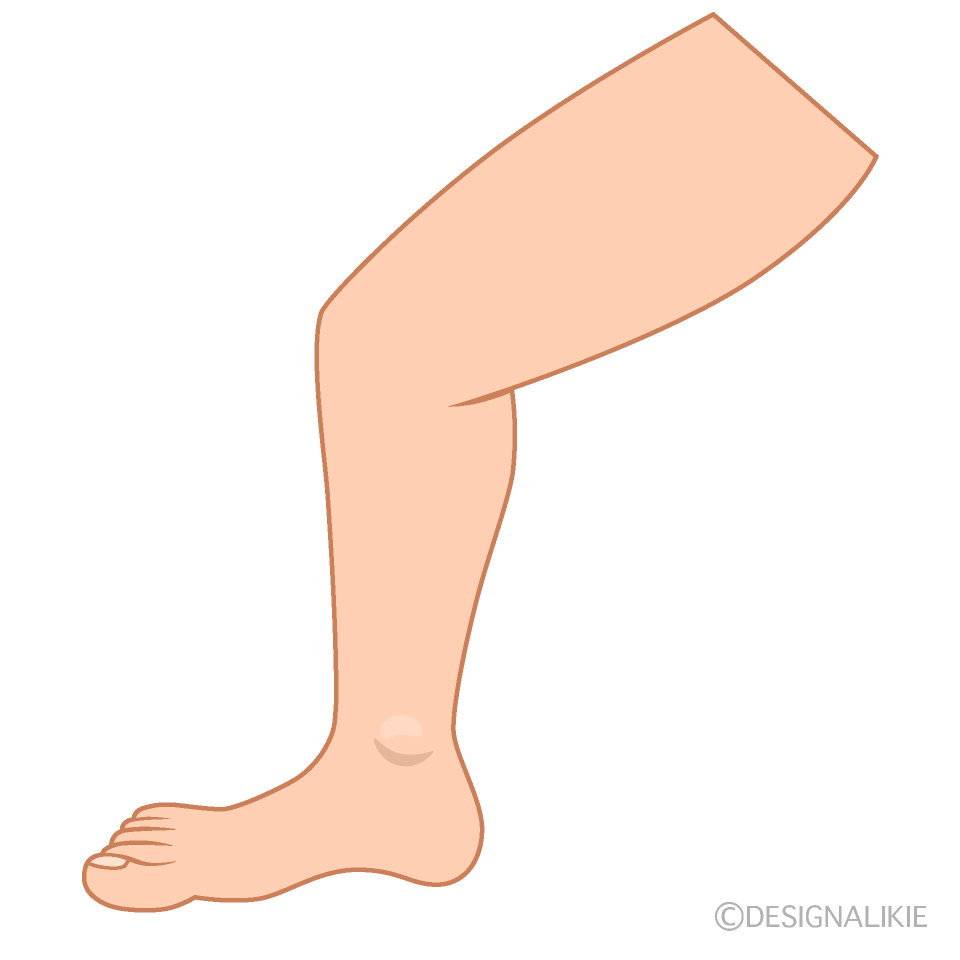 Male Leg Clip Art Free PNG Image｜Illustoon