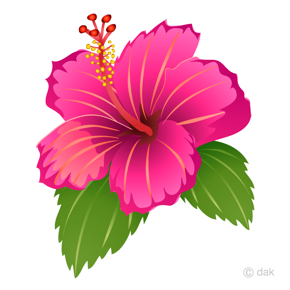 Cute Hawaiian Flower Clip Art Best Flower Site