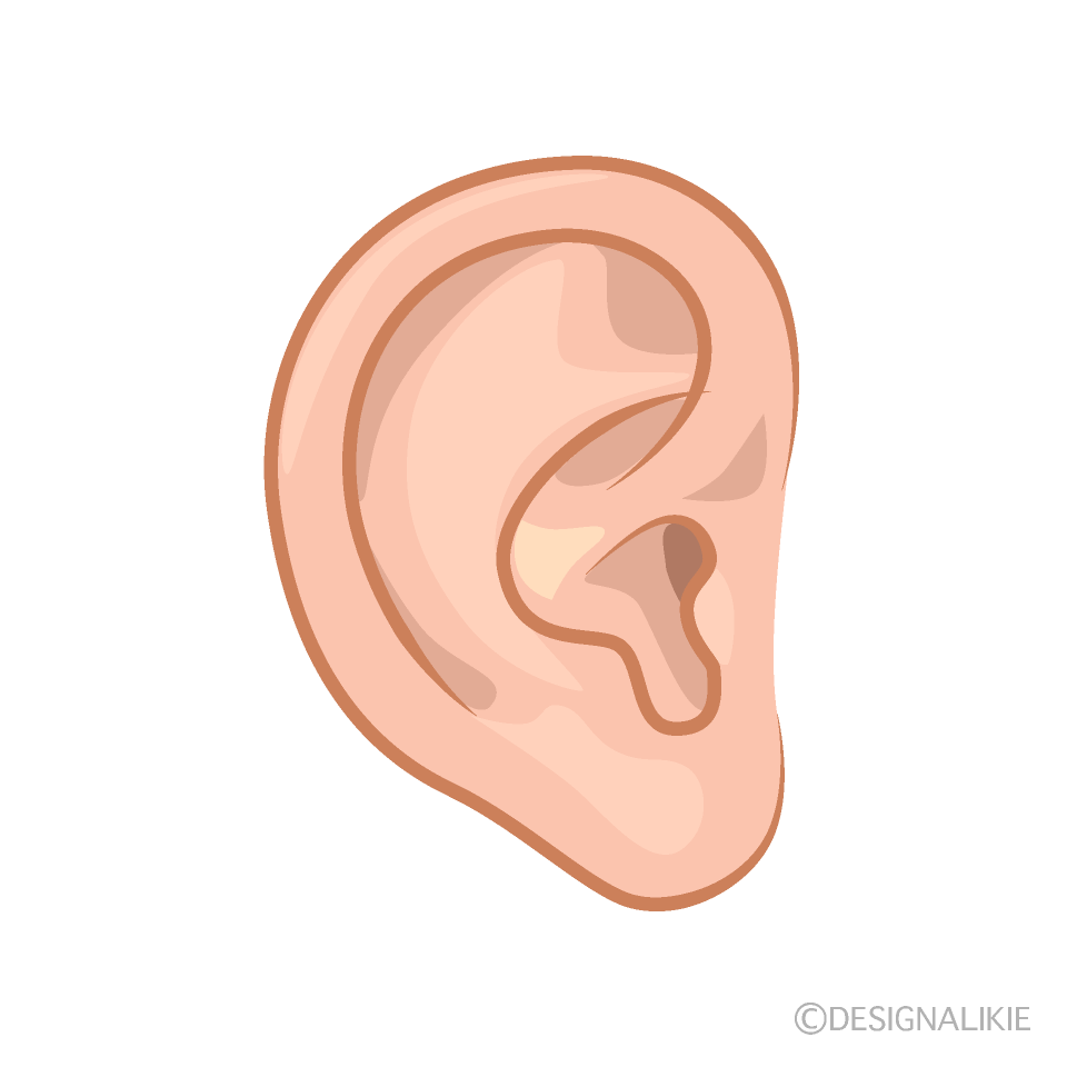 Ear Clip Art Free PNG Image｜Illustoon