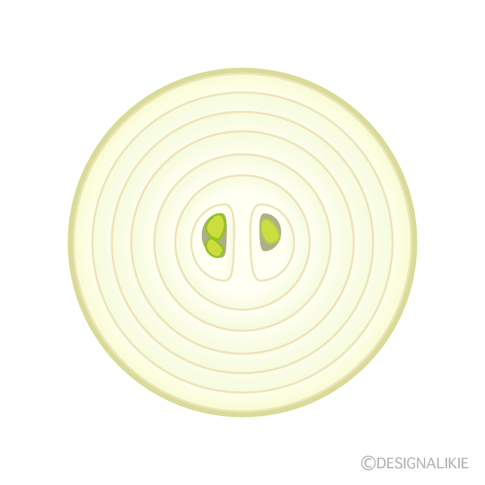 Sliced Onion Clip Art Free PNG Image｜Illustoon
