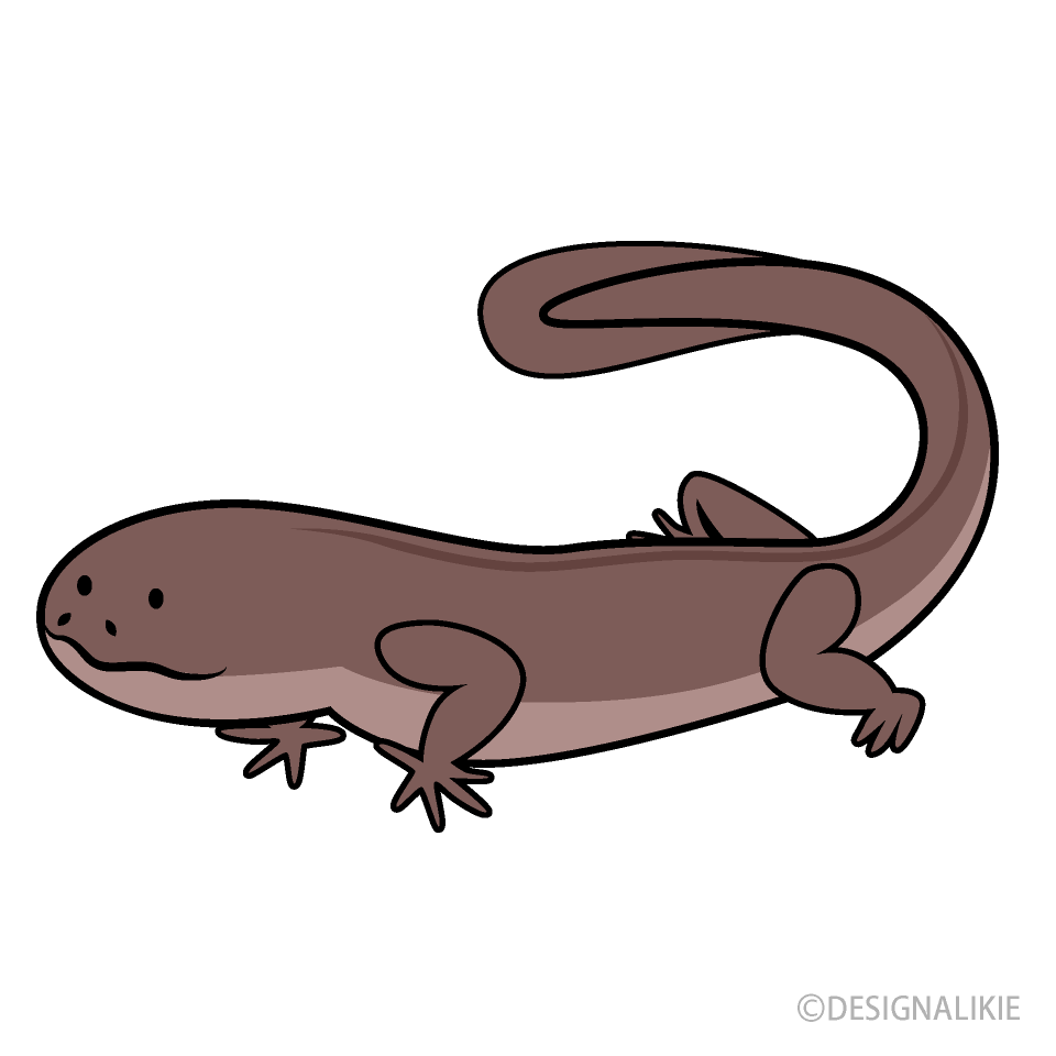 Cute Salamander Clip Art Free PNG Image｜Illustoon