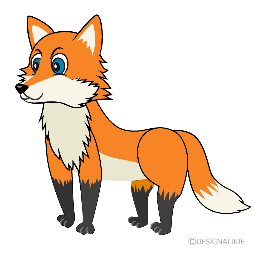 Fox Cartoon Free PNG Image｜Illustoon