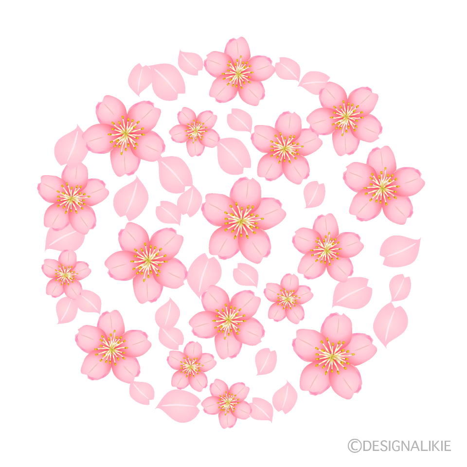 Cherry Blossom Circle Clip Art Free PNG Image｜Illustoon