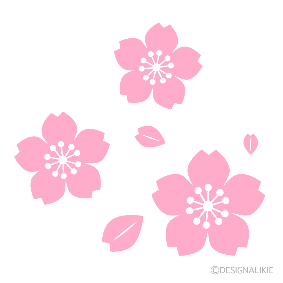 Many Simple Cherry Blossoms Clip Art Free PNG Image｜Illustoon