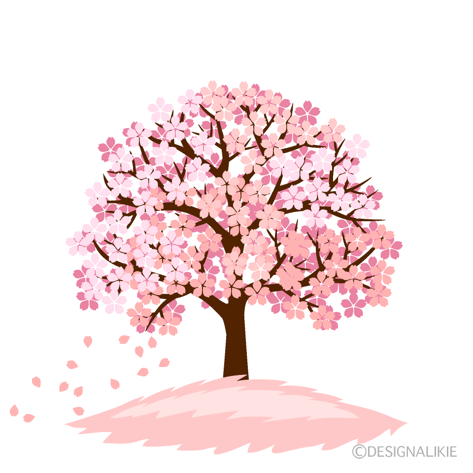 Cherry Blossom Tree with Falling Petals Clip Art Free PNG Image｜Illustoon