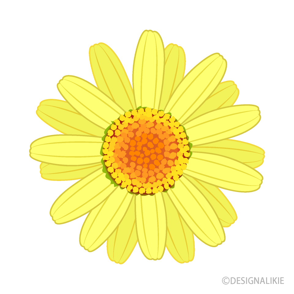 Yellow Daisy Flower Clip Art