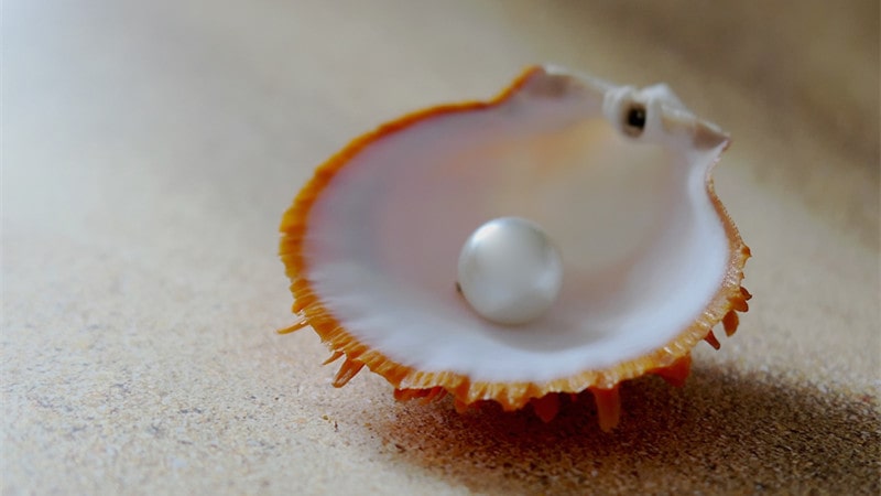 The Complete History How Are Pearls Formed?