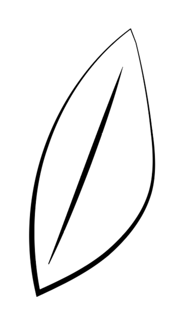 How to Join Lines in Adobe Illustrator (Real Examples)