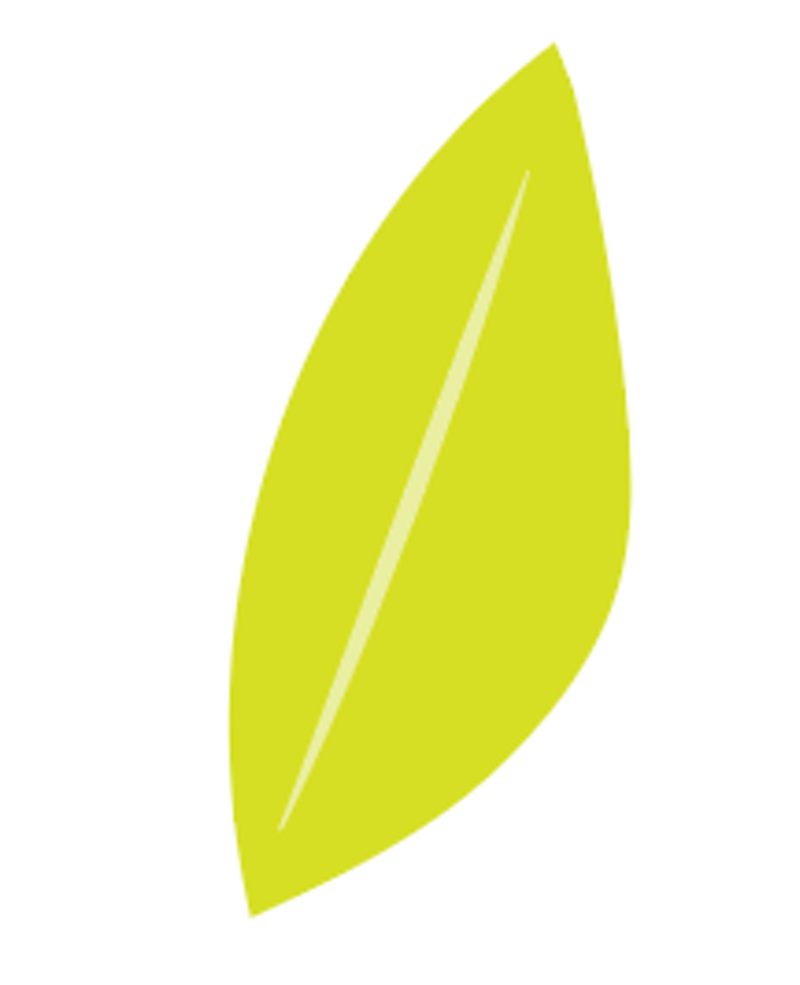 How to Join Lines in Adobe Illustrator (Real Examples)