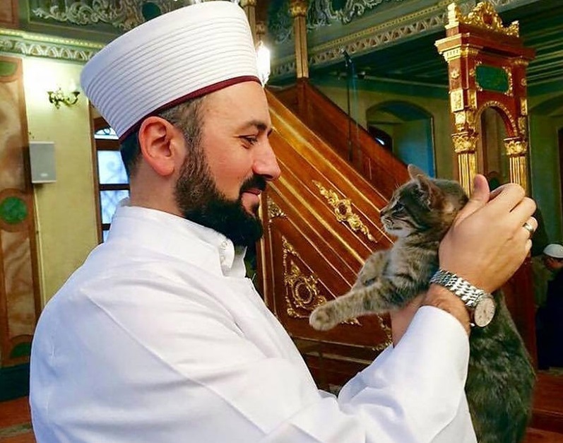 Cats Taking Shelter in a Mosque is the Cutest Thing Ever