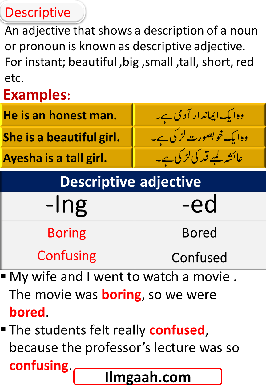 What Is An Adjective? Types Of Adjectives And Examples