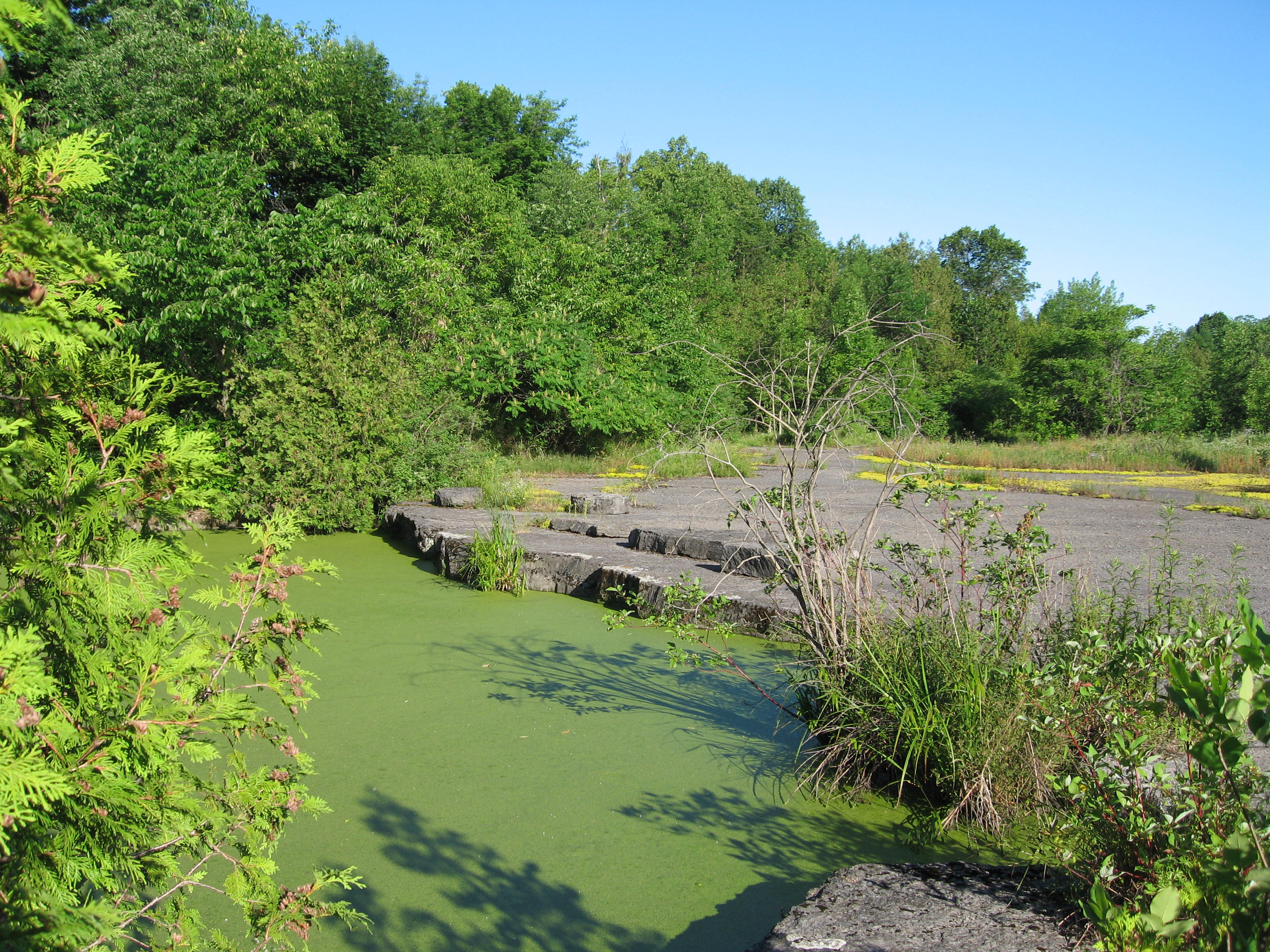 PRESERVES Isle La Motte Preservation Trust