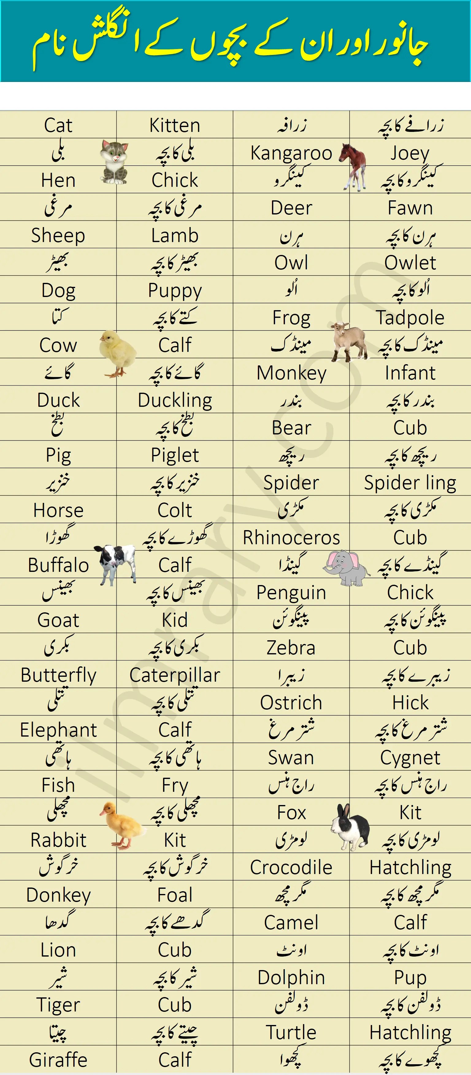Top 187+ Animals name in urdu language