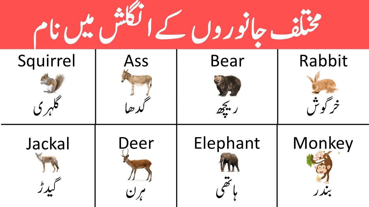 Urdu To English Vocabulary PDF iLmrary