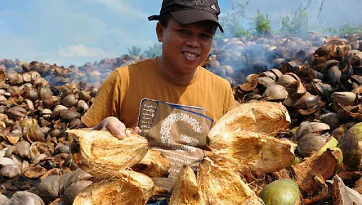 6 Cara Menanam Anggrek dengan Sabut Kelapa