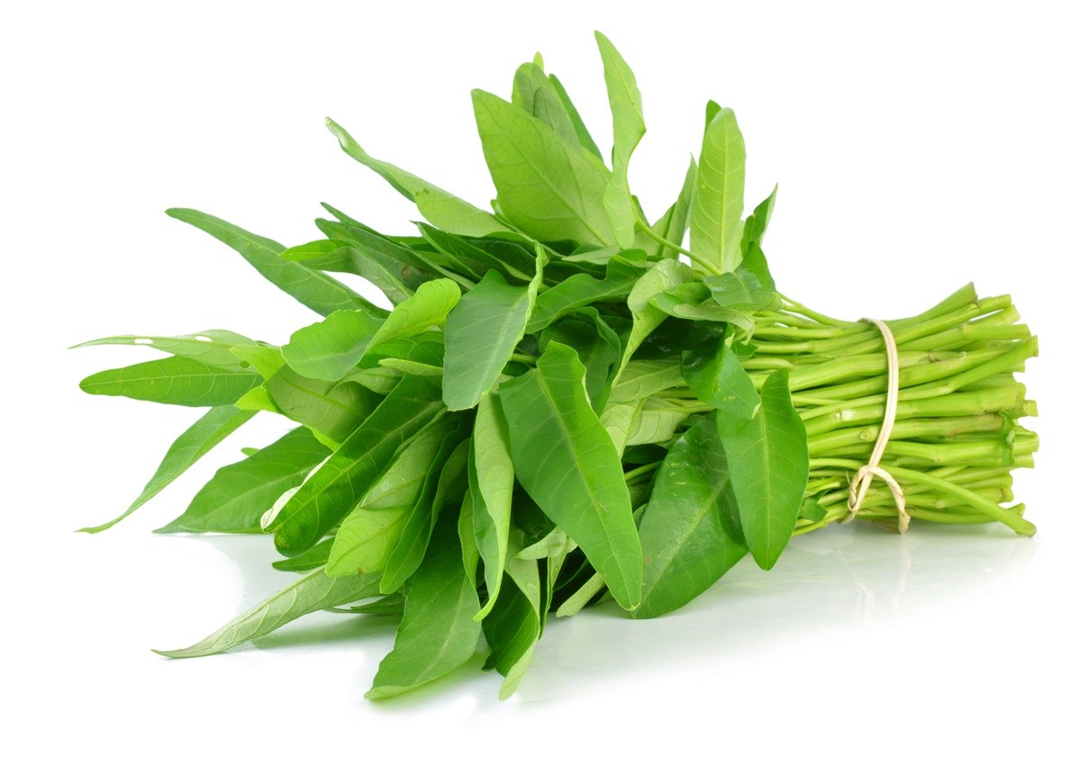 Cara Memilih Bibit Kangkung Yang Bagus untuk Ditanam