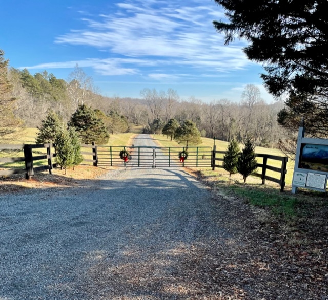 11 Farms To Cut Down Your Christmas Tree Near Charlottesville, Virginia
