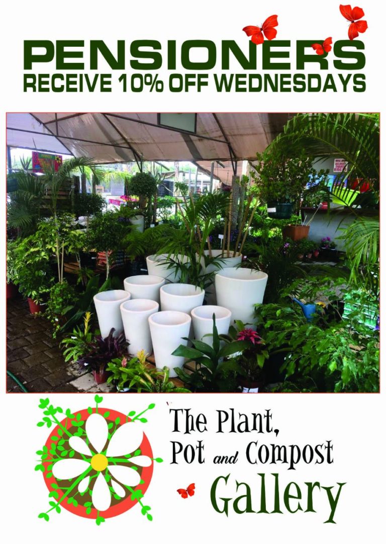 The plant, pot and compost gallery I Love Fourways