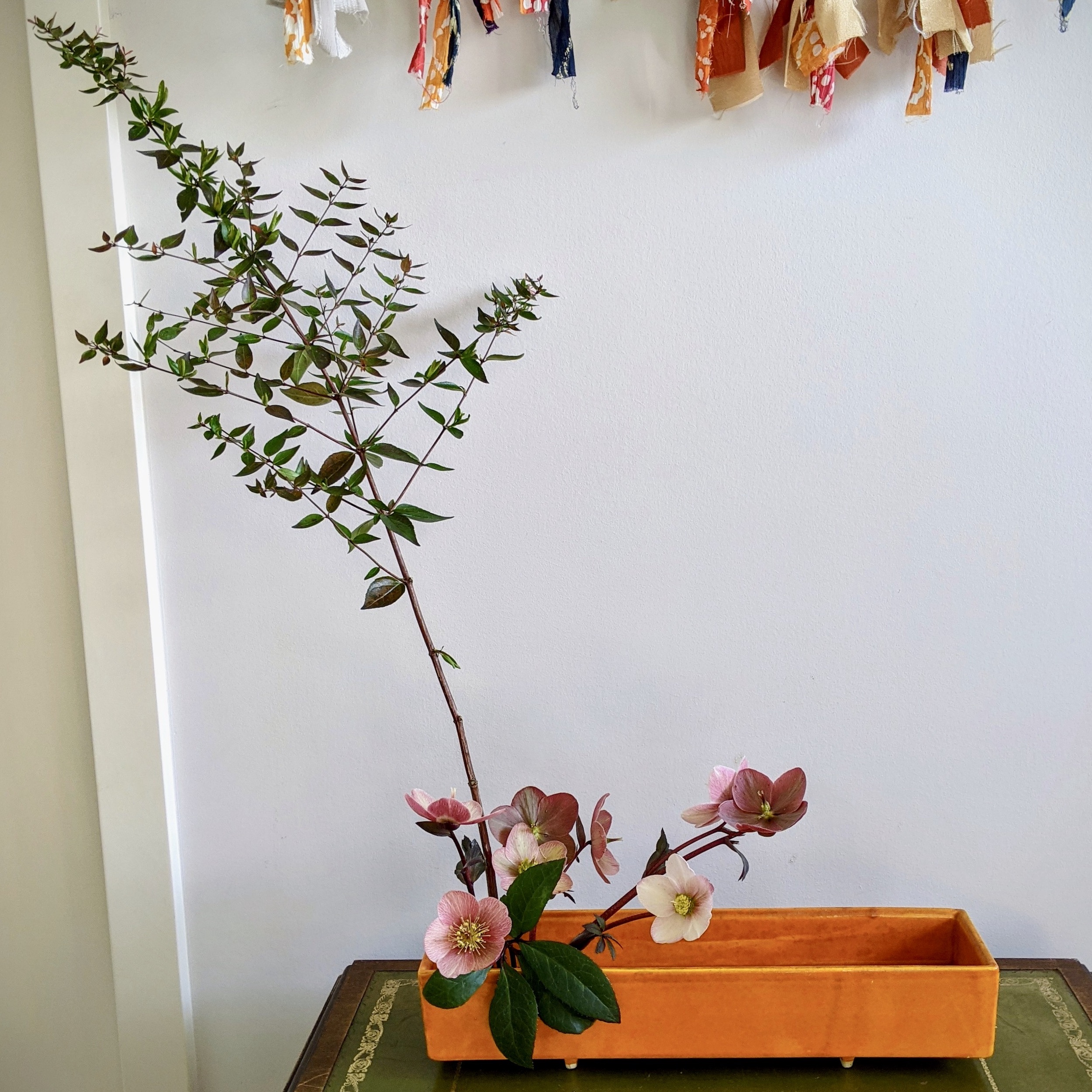 Class Photos 3/13/2021 Afternoon I Love Ikebana