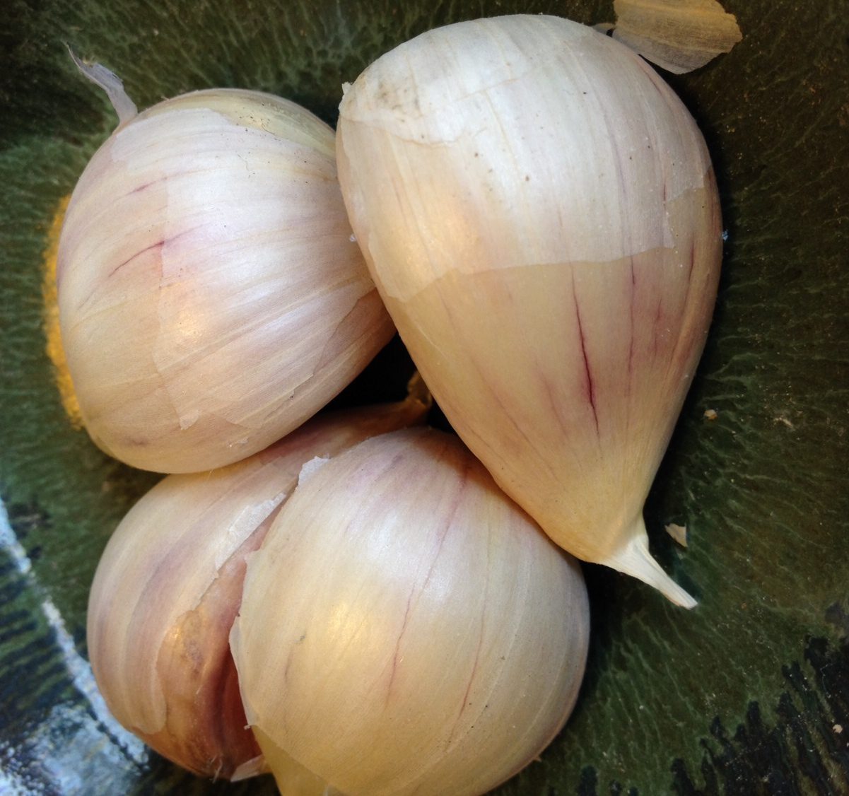 Garlic! Science, You're Super! Inspire(d) Magazine