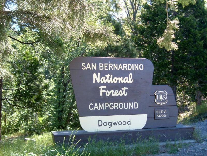 Dogwood Campground I Love Lake Arrowhead