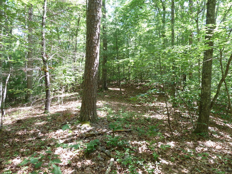 13 Acres of Land for Sale in Murphy NC on Caney Creek Road