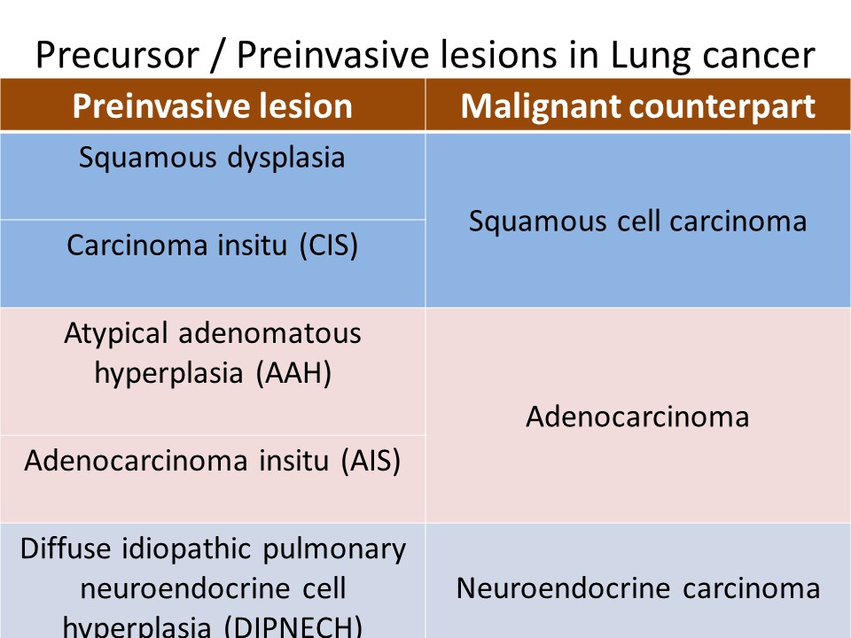 Pathology of Bronchogenic carcinoma /squamous cell carcinomalung