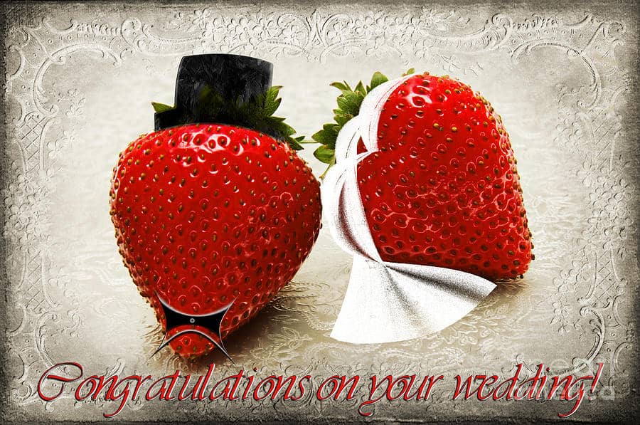 Congratulations on Your Wedding Messages I Love Text Messages