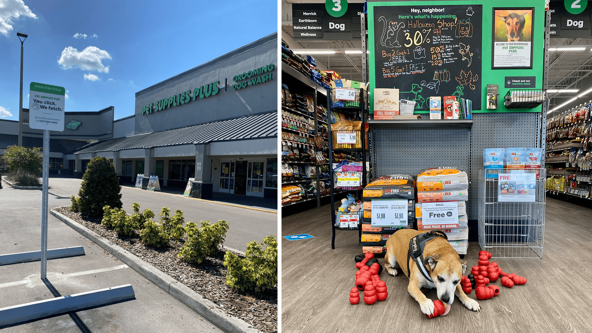 Pet Supplies Plus, a massive superstore for pets, brings grooming, same