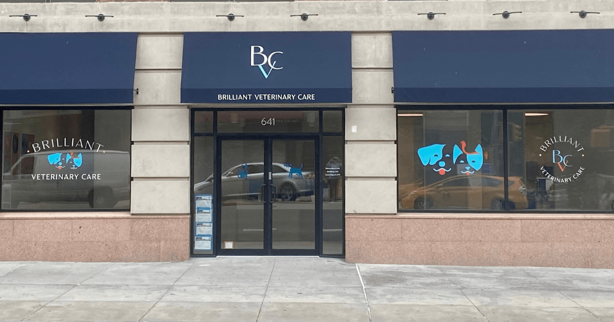 Bringing Back Your Neighborhood Vet